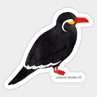 Inca Tern Bird Realistic Illustration Sticker